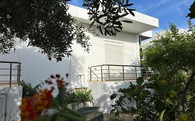 Anxhi