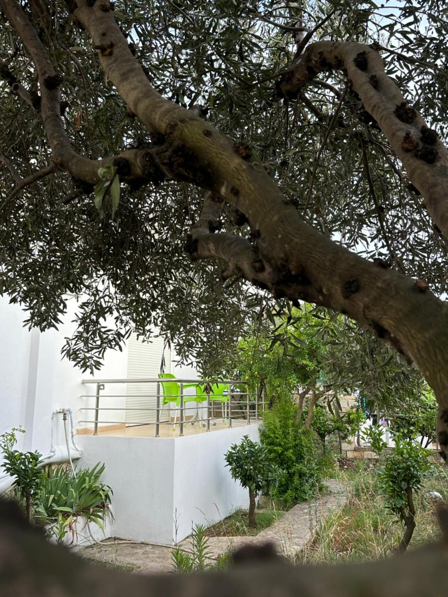 Apartamento Anxhi Ksamil Exterior foto